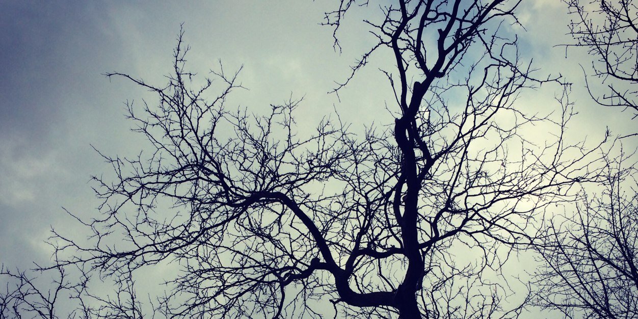 Lnaz_at's profile banner image