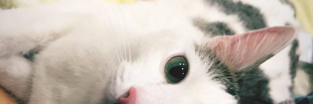 Enot_Valeri's profile banner image