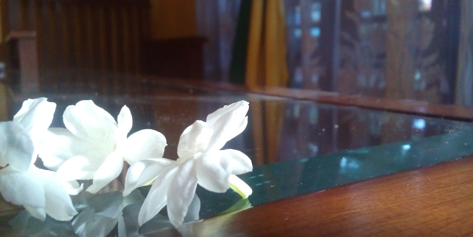 Novart_'s profile banner image