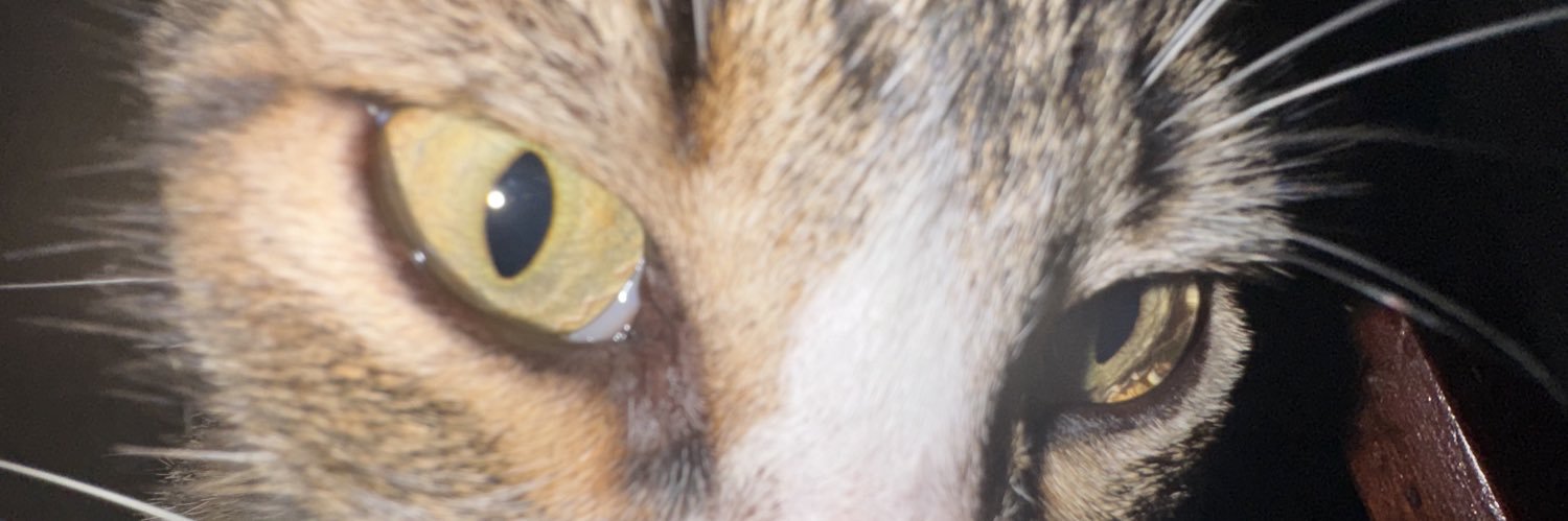 petiteesme's profile banner image