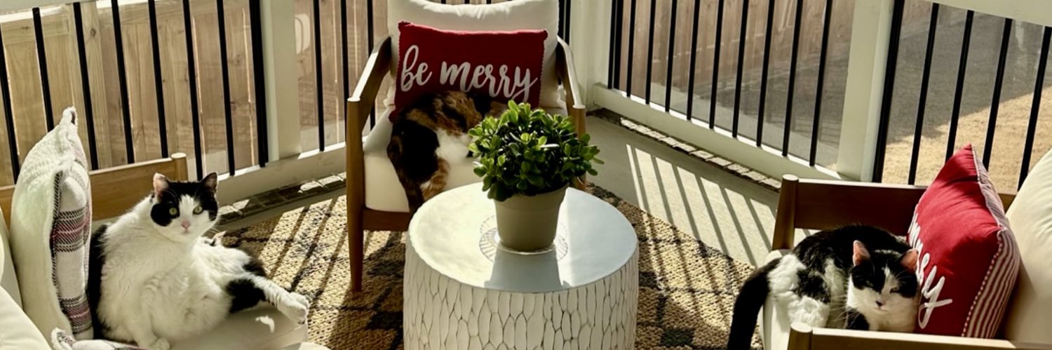 @singularity59.bsky.social banner