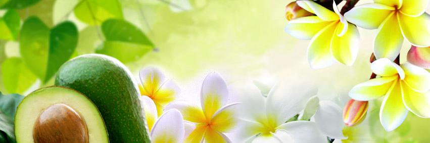 CandidEssential's profile banner image