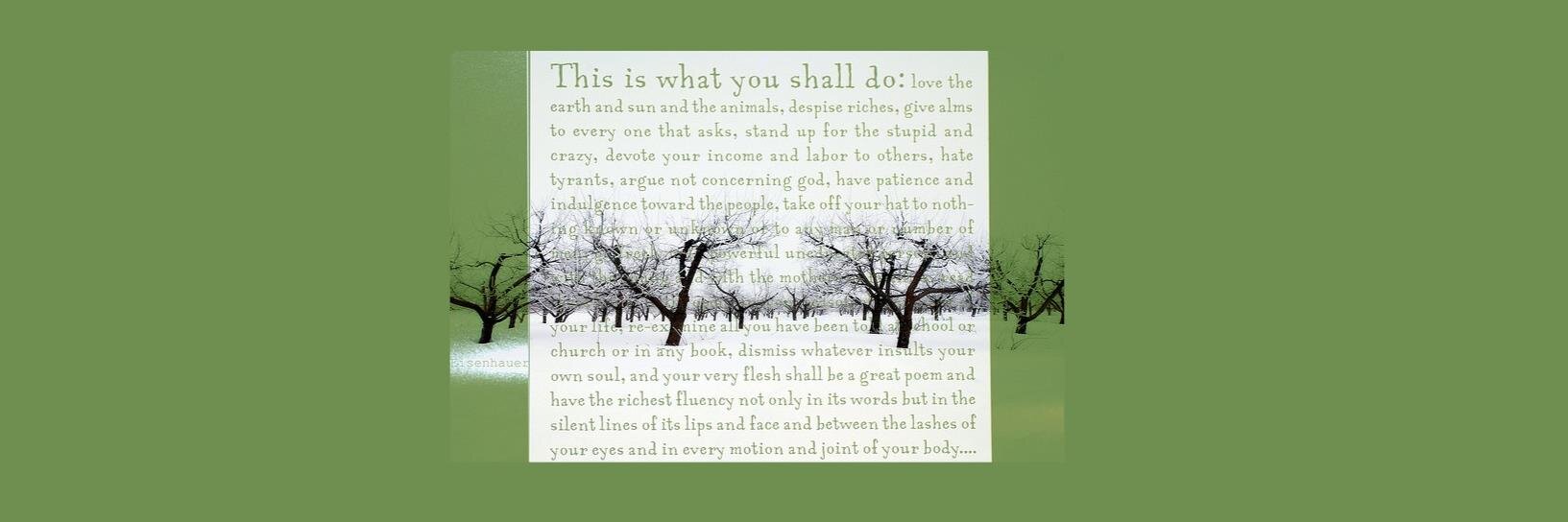 Hidden Cash Colorado banner