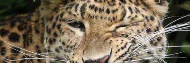 StradaPaloma8's profile banner image