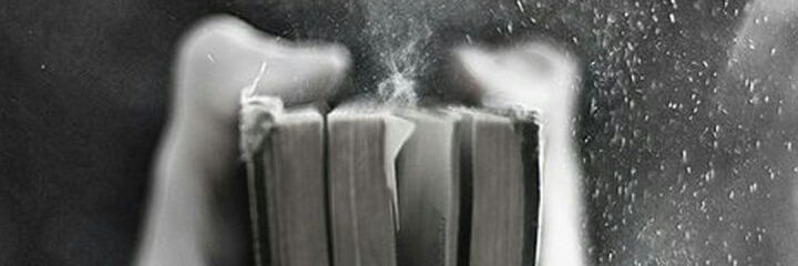 farayagatha's profile banner image