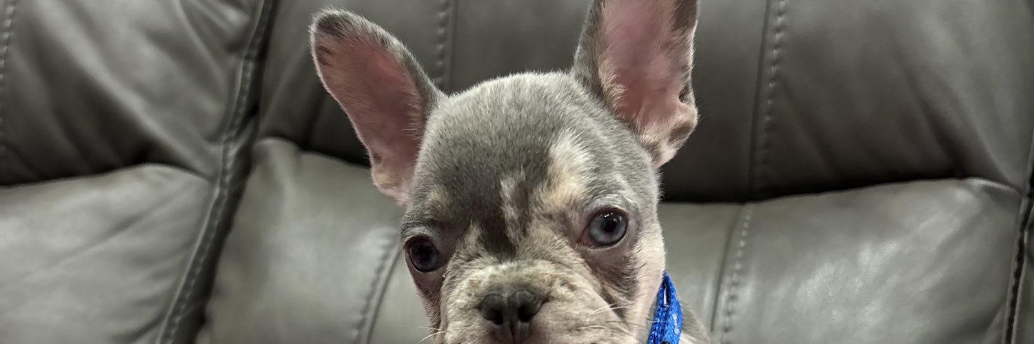 friickgigi's profile banner image
