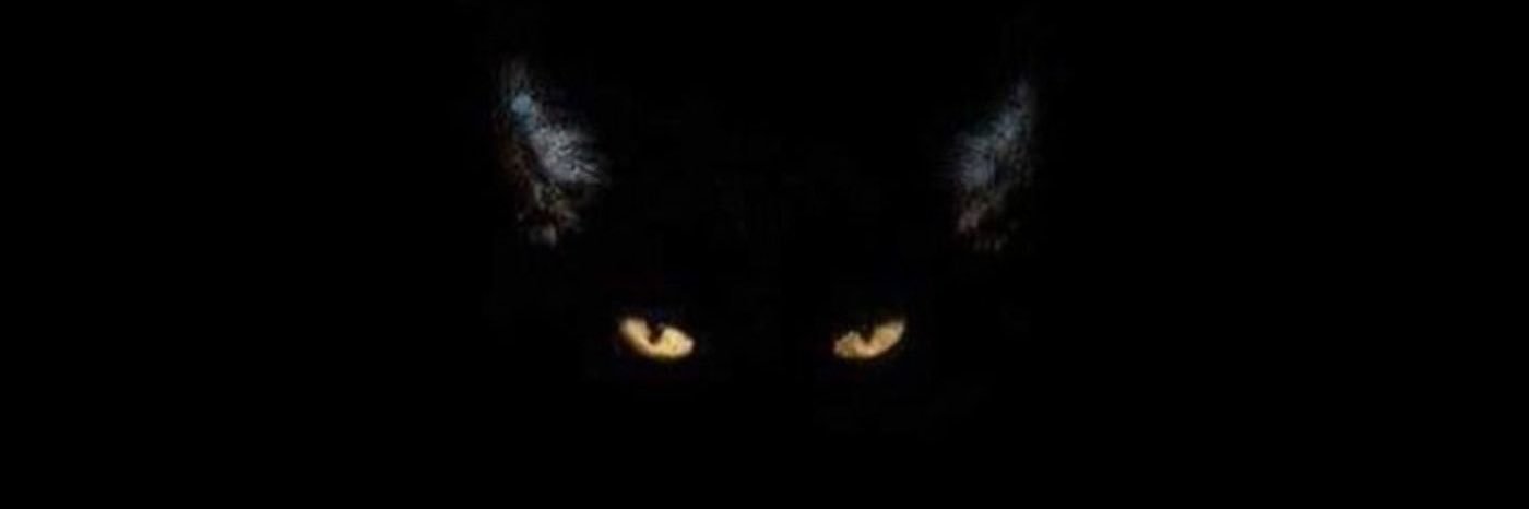 coreyyanks's profile banner image