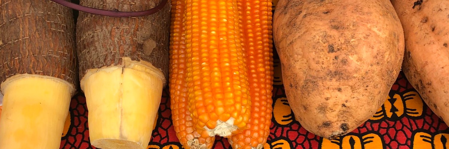 Maggie Kamau-Biruri banner