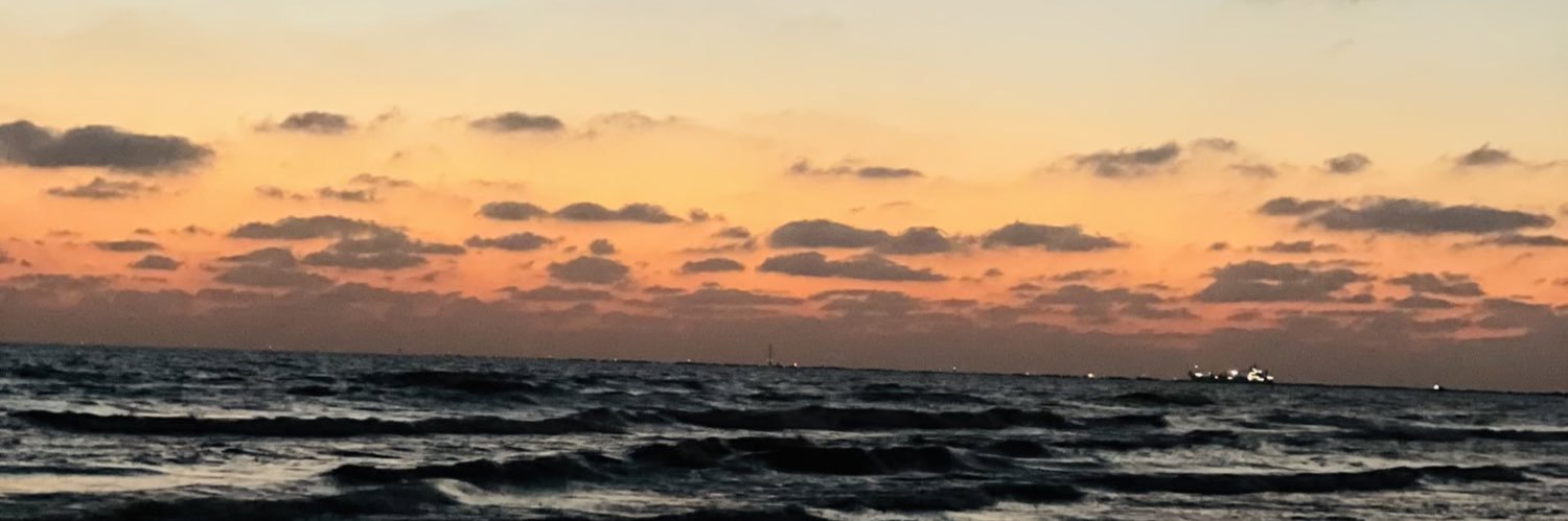 Mariamkaled1's profile banner image