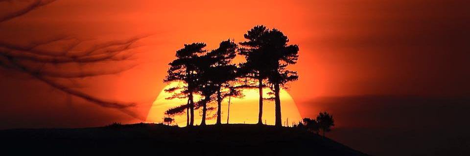 GeoffreyTrott's profile banner image