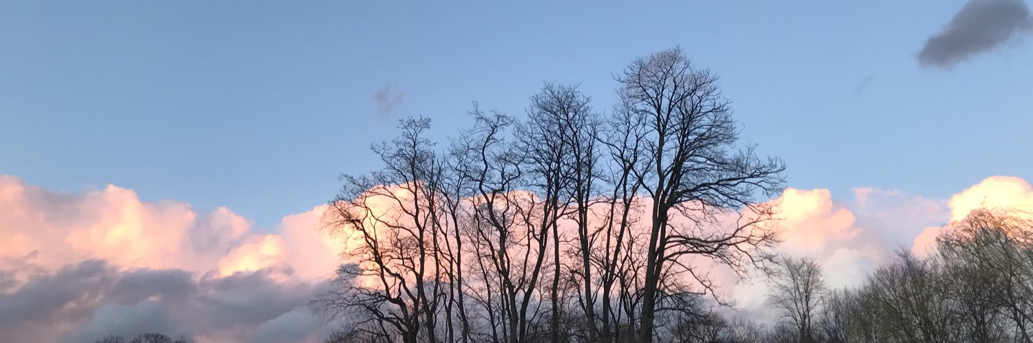 katoboon's profile banner image