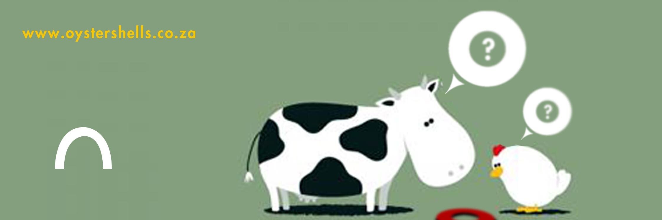 OystershellsCom's profile banner image