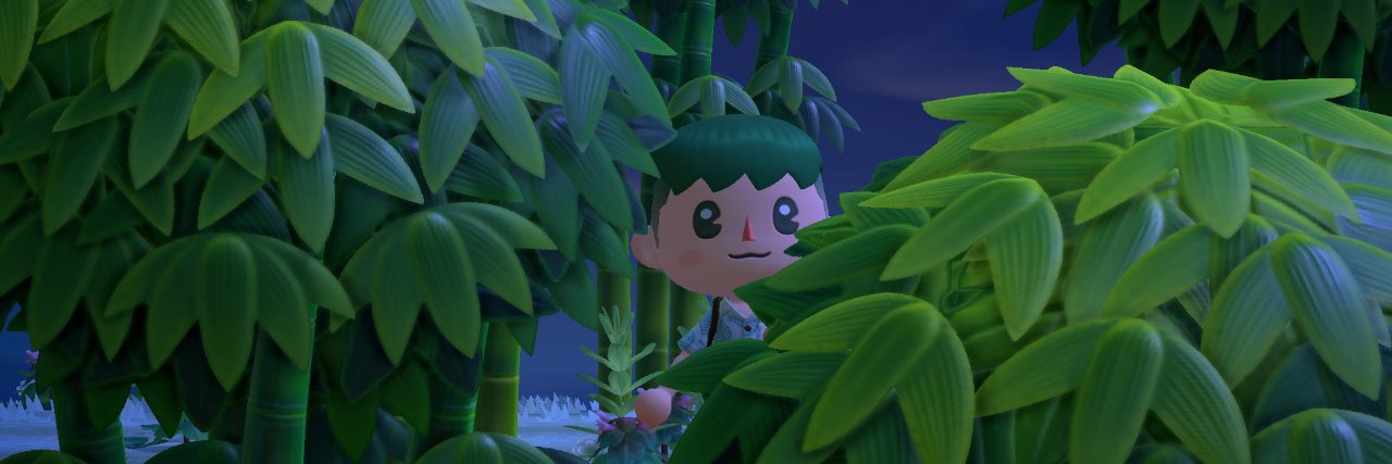 CitrusRobot's profile banner image