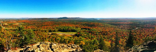 mainefoliage Profile Banner
