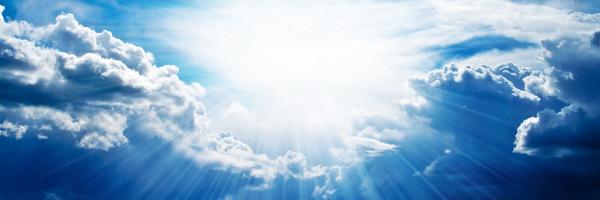 SharonWOwnsbey's profile banner image