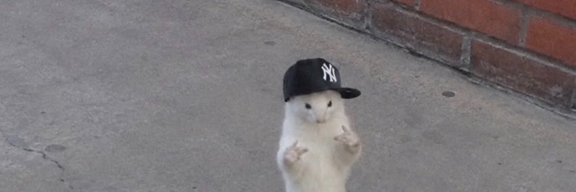 gh0stbubbl3s's profile banner image
