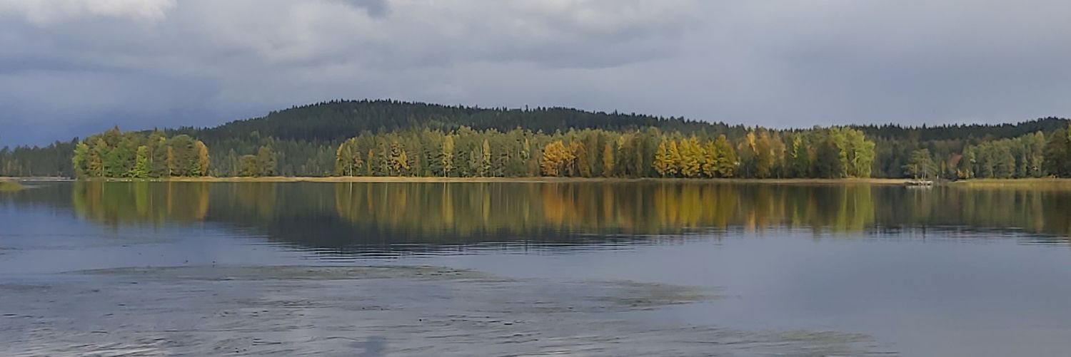 EevaMakinen's profile banner image
