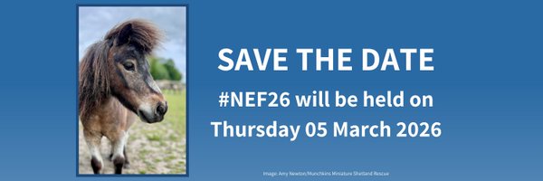 NatEqForum Profile Banner