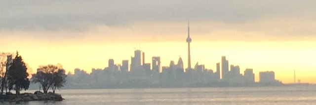 Michelle Butterly banner