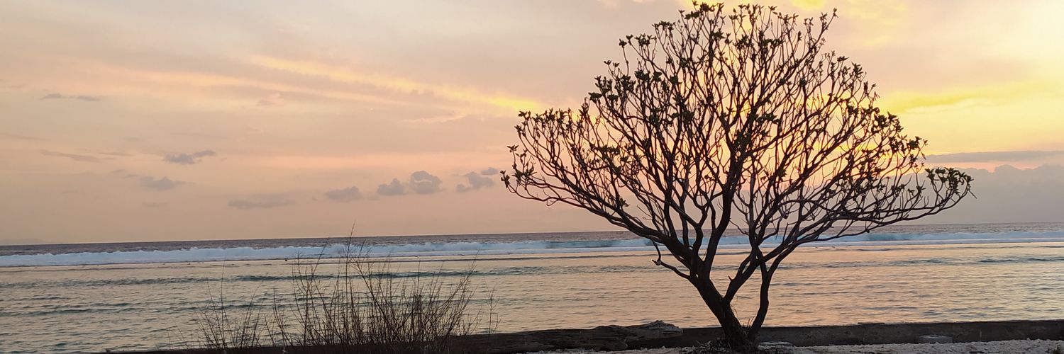 sonosans's profile banner image