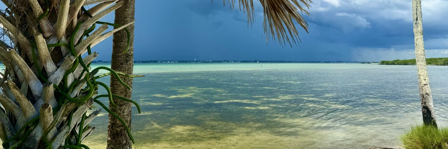 jbuckb.eth 🤙🏽 banner