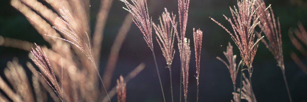 sungsoonz's profile banner image