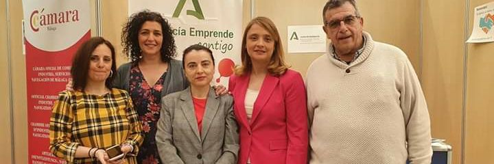 Edufratelo's profile banner image