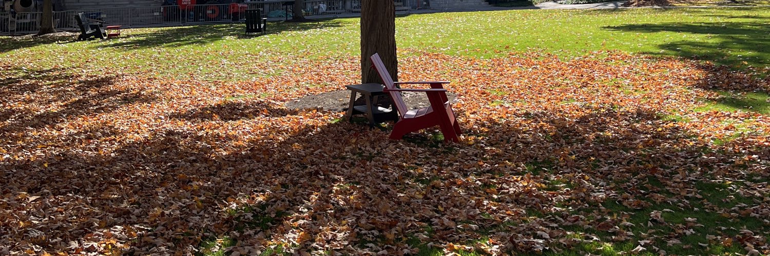 Elizabeth Ross banner