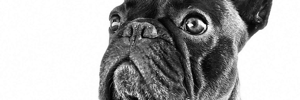 DrSmiley89's profile banner image