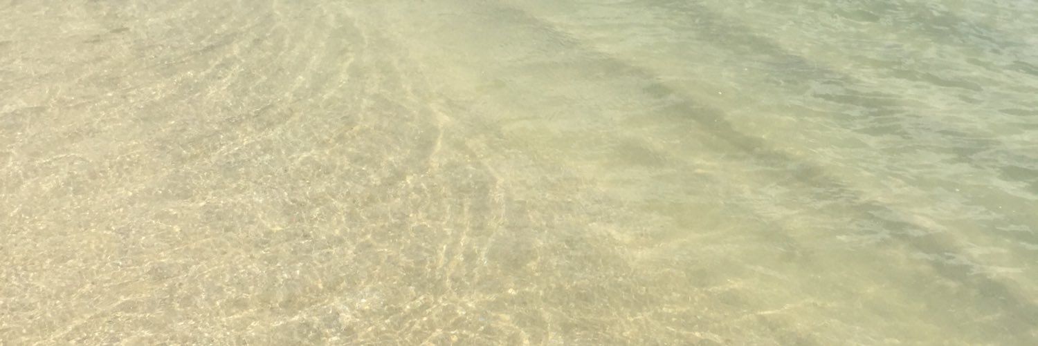 shoookotann's profile banner image