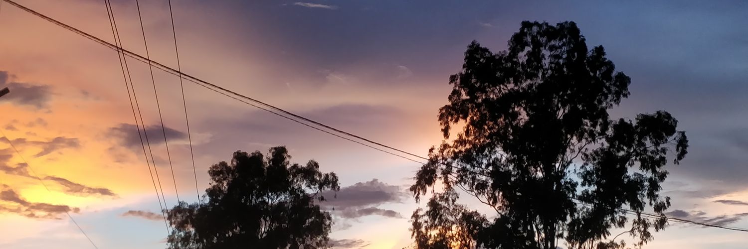 RSHansdak's profile banner image