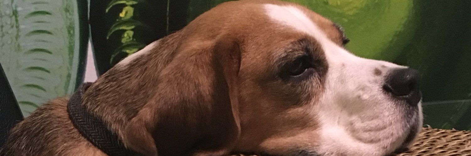 JJuleslady's profile banner image