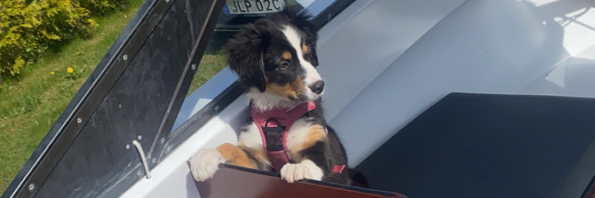 Jesper Kronenberg banner