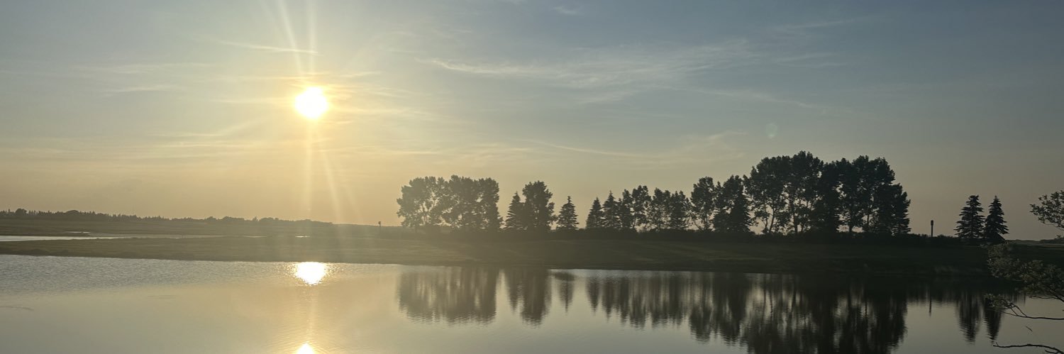 sarajharps's profile banner image