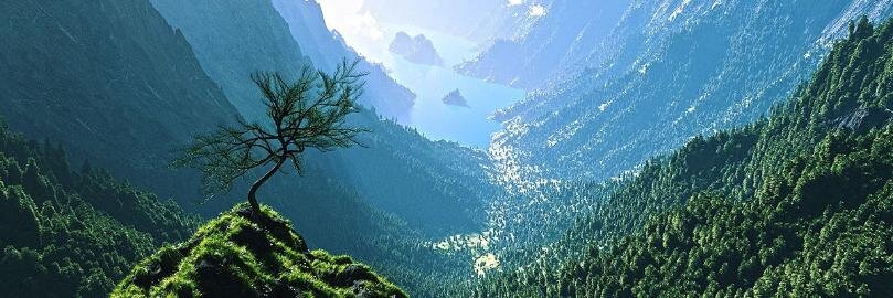 Звягина Берта banner