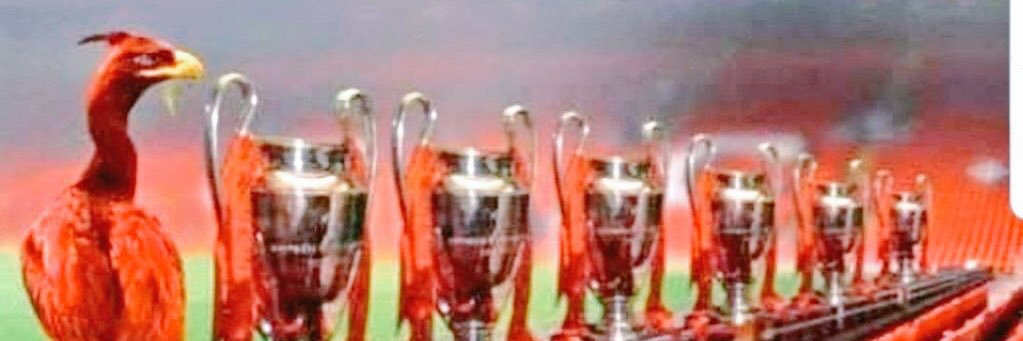 kp_lfc's profile banner image