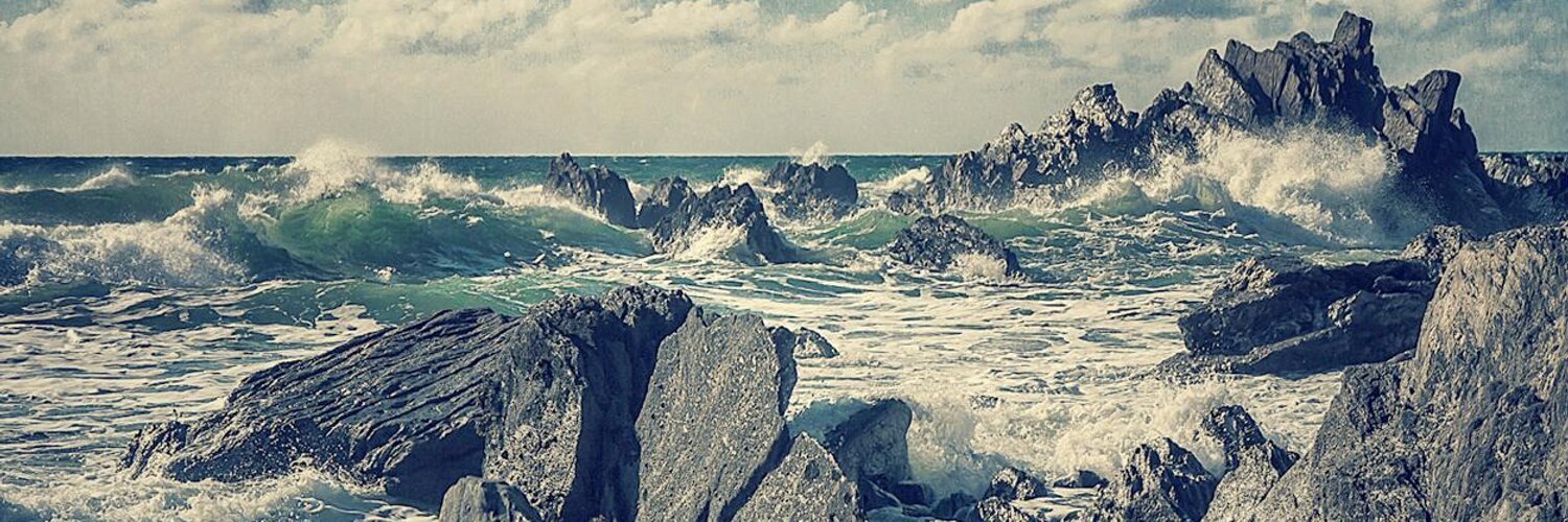 Studio Wallop banner