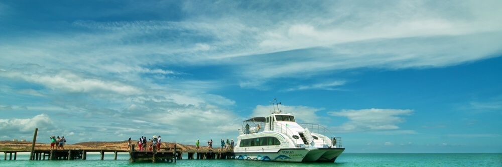 NavegaVenezuela's profile banner image