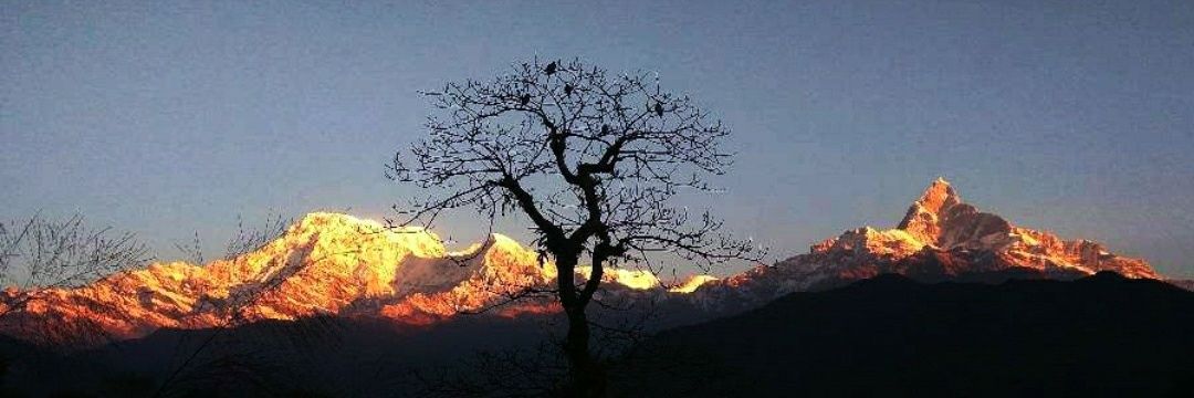 अरुण श्रेष्ठ banner