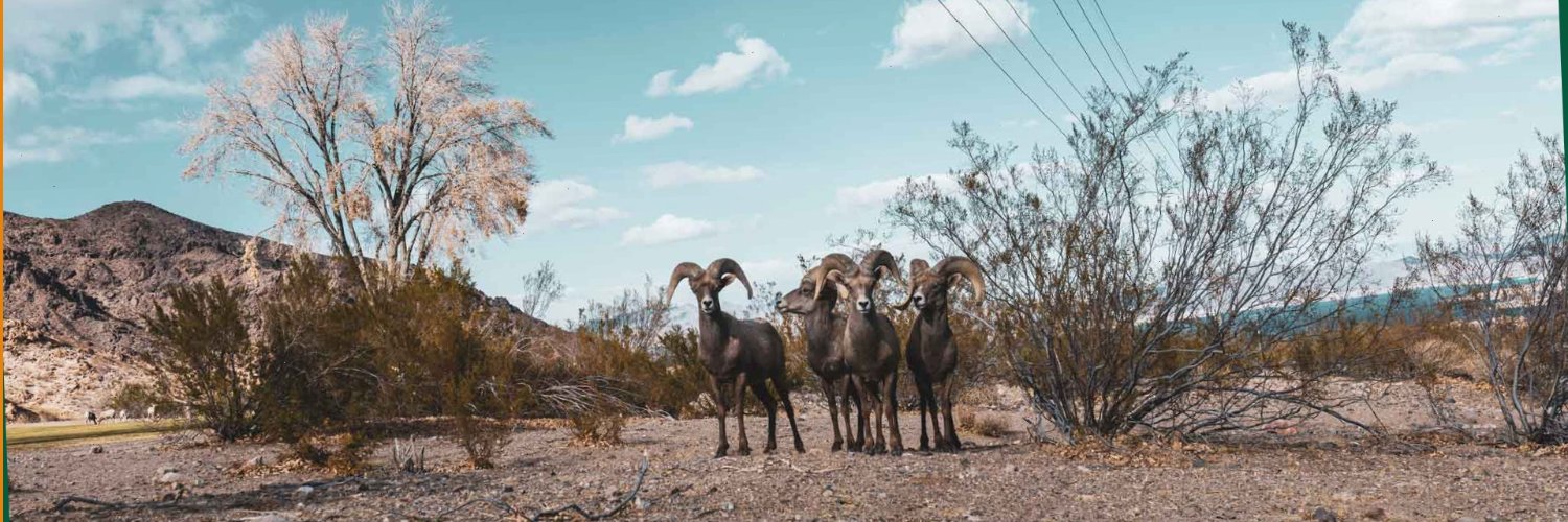 jordantev97's profile banner image
