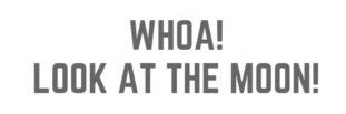 whitlock_annie's profile banner image