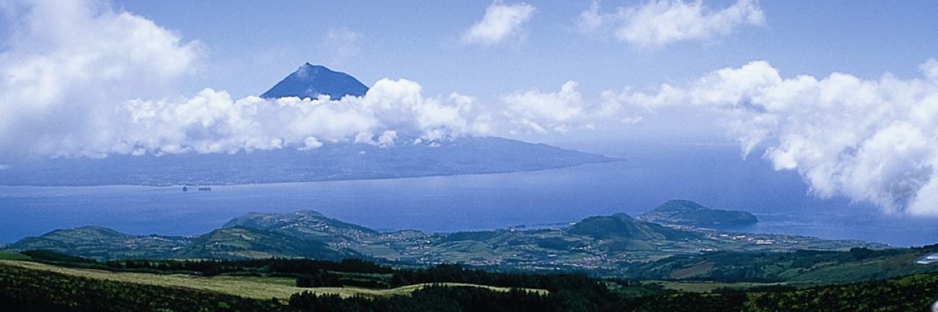 archchoice's profile banner image