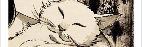 damarigu90's profile banner image