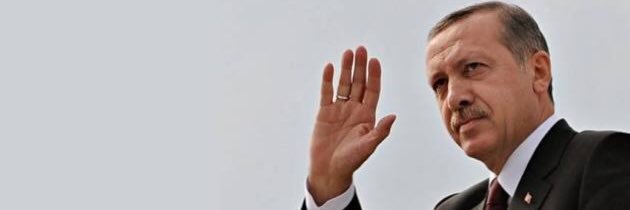 gozdekskn's profile banner image