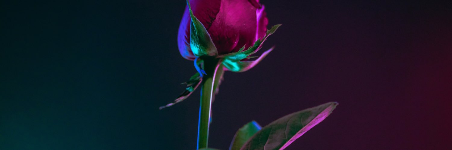 benedictfebry's profile banner image
