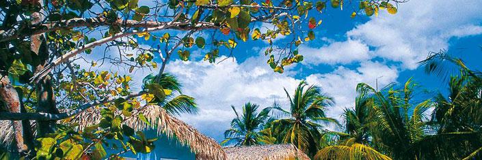 TravelCrave's profile banner image