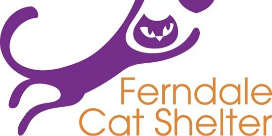 CatsofFerndale's profile banner image