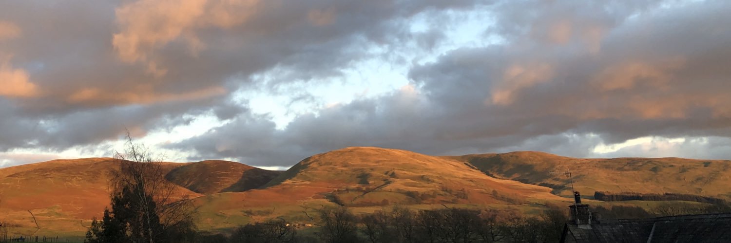 jane martindale banner