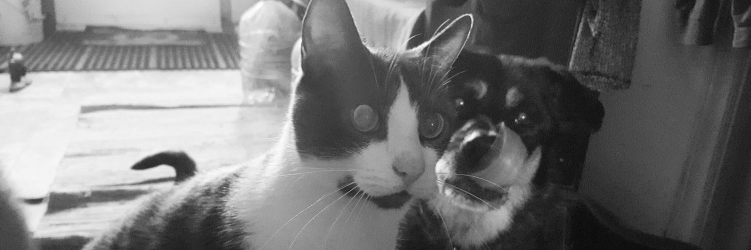 JoanneDoyle_'s profile banner image