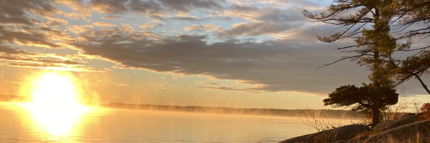 Tecekelly's profile banner image